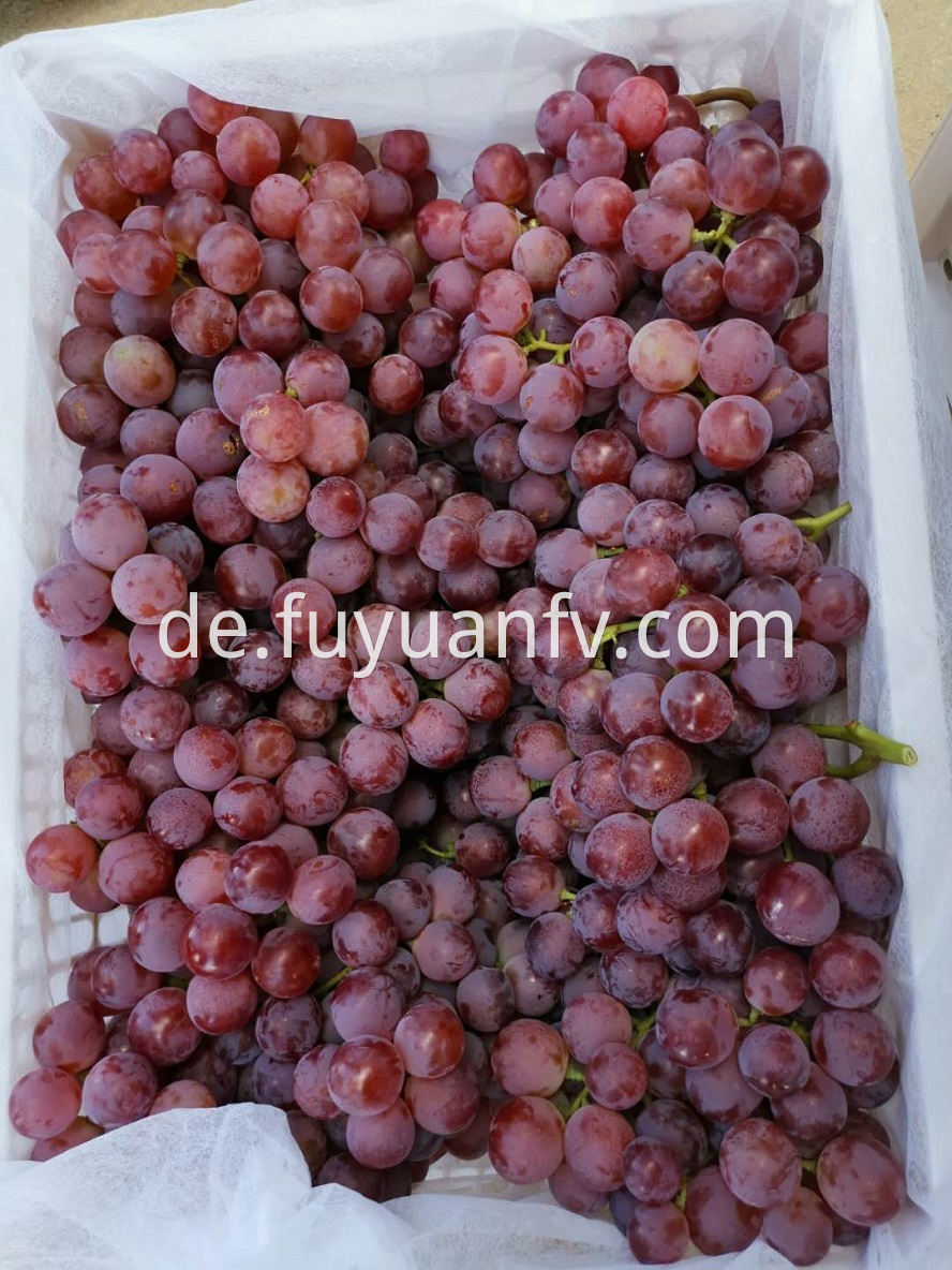 fresh red grape